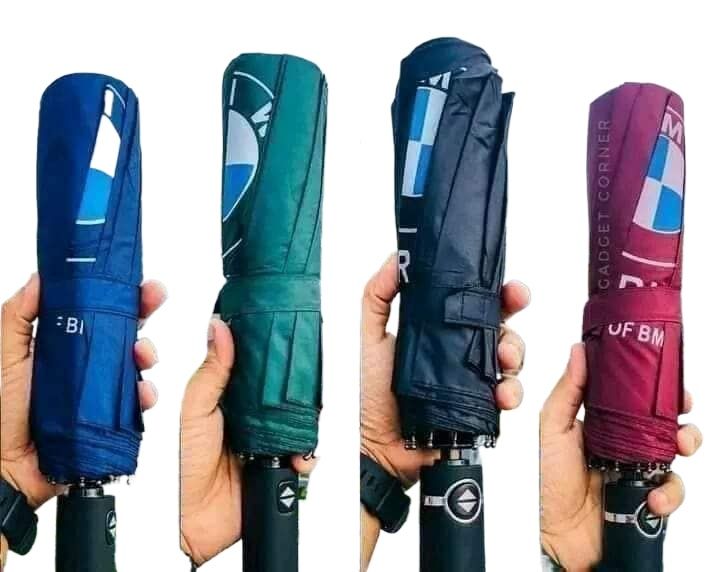 12 ribe bmw