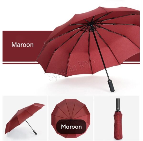 BMW 12-Rib Heavy Duty Umbrella, Multifunctional auto open & auto close best umbrella - Image 10
