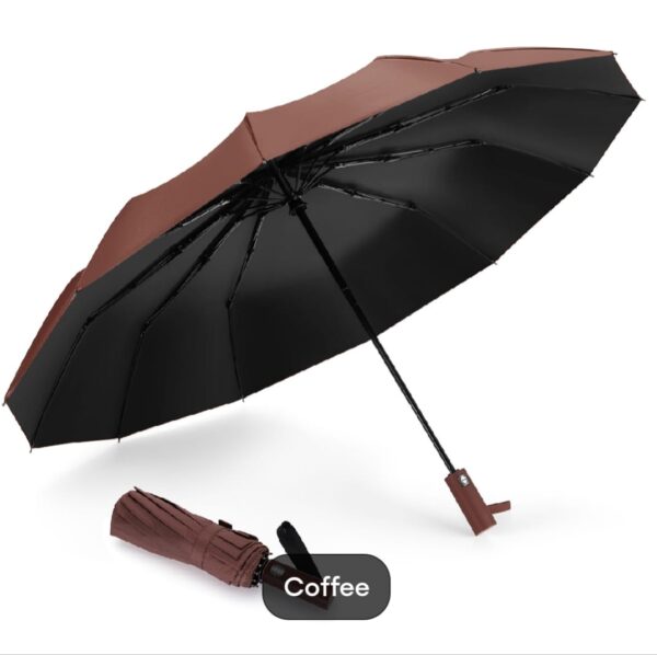 BMW 12-Rib Heavy Duty Umbrella, Multifunctional auto open & auto close best umbrella - Image 11