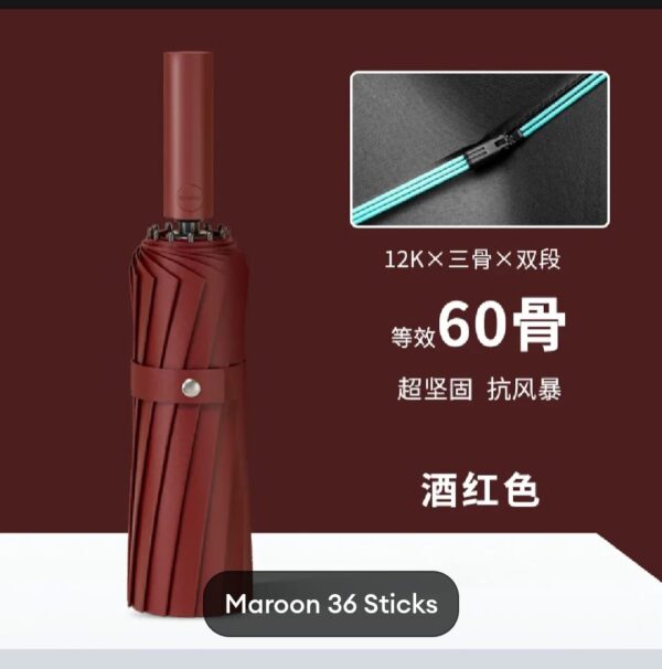 BMW 12-Rib Heavy Duty Umbrella, Multifunctional auto open & auto close best umbrella - Image 4